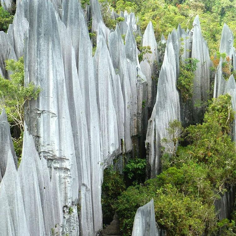 Mulu National Park