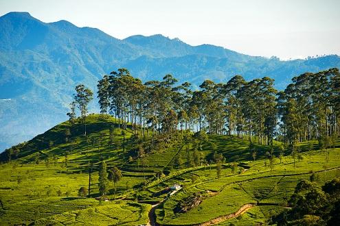 Nature Trails and Cultural Tales