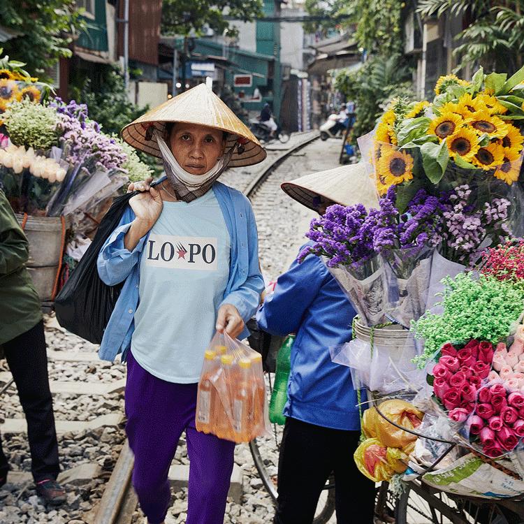 Immersive Holidays in VIETNAM