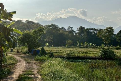 Ban Dok Bua By Tractor