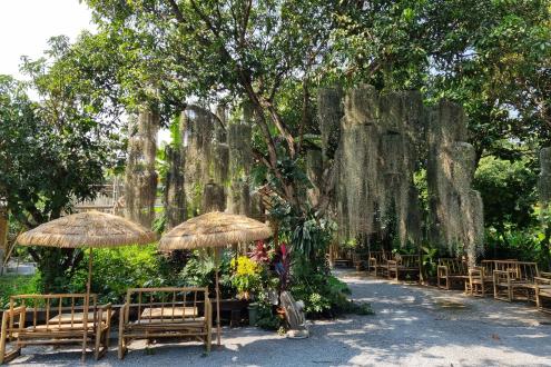 Bangkok's Hidden Garden