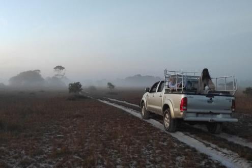 Savannah Grassland Tour