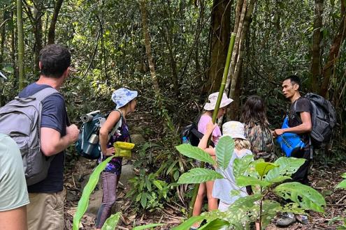 Khao Sok Night Safari	 