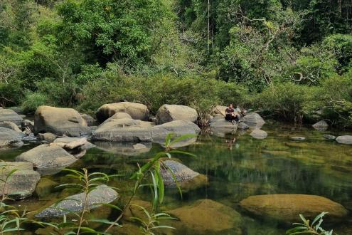 Jungle Trek & Bamboo Cooking	 