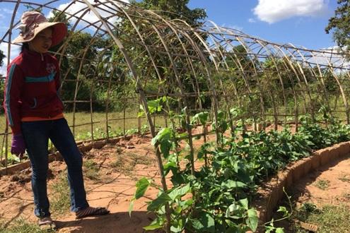 Green Shoots Farm to Table Experience