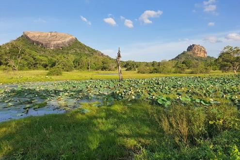 Climbing Sigiriya and Cycling Tour