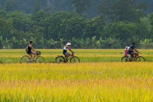Exploring Ninh Binh & Tam Coc by bike