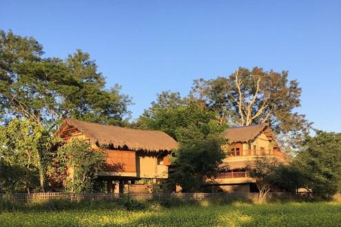 Diphlu River Lodge