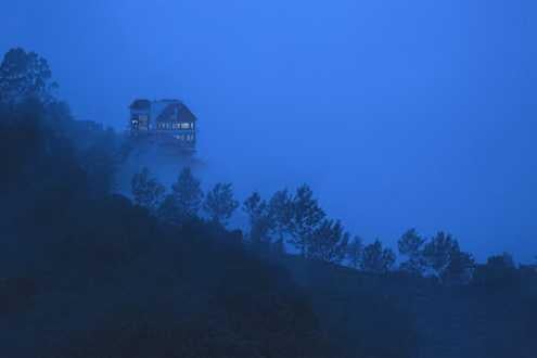 Fragrant Nature Munnar