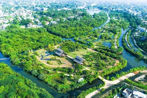 Colombo Wetlands