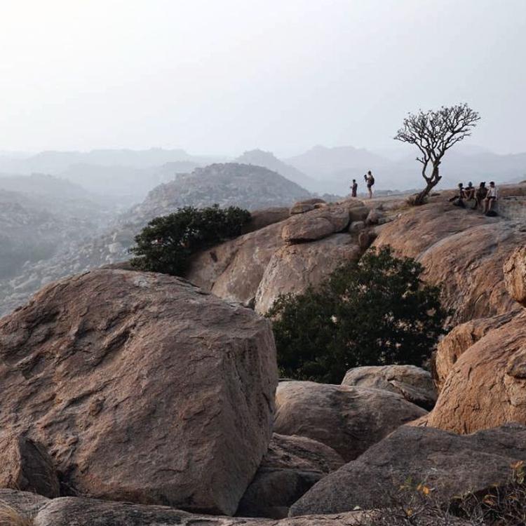 Wild Karnataka and Beach