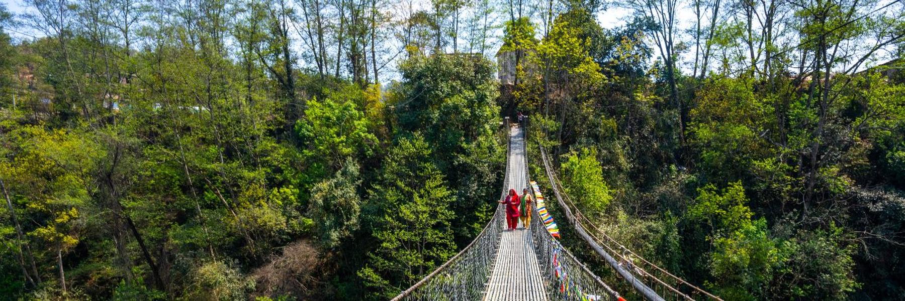 Walking & Wellness in the Himalayas