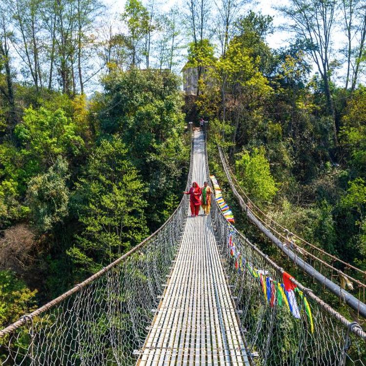 Walking & Wellness in the Himalayas