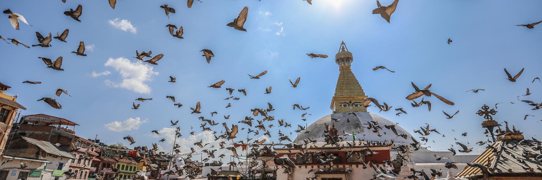 Why visit Kathmandu?