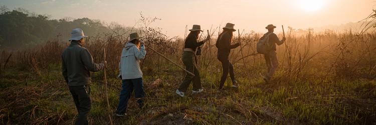 Why visit Chitwan National Park?