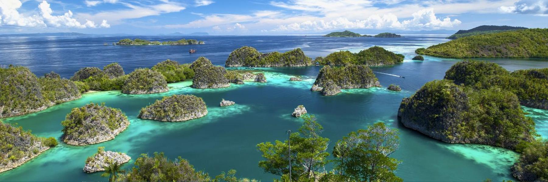 From Java to Raja Ampat:  an Indonesian Extravaganza