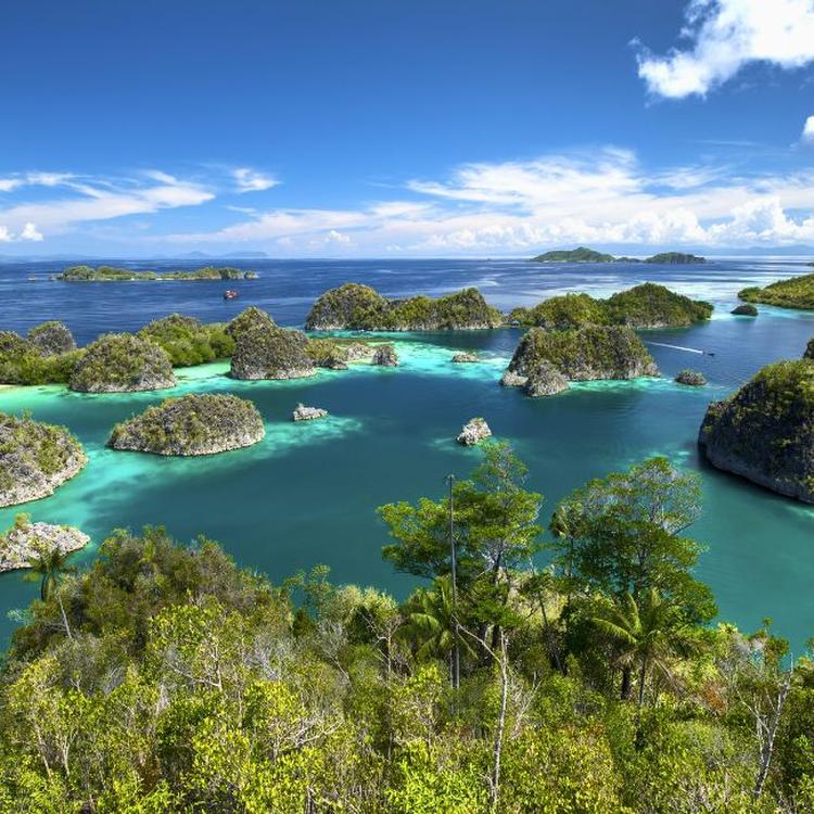 From Java to Raja Ampat:  an Indonesian Extravaganza