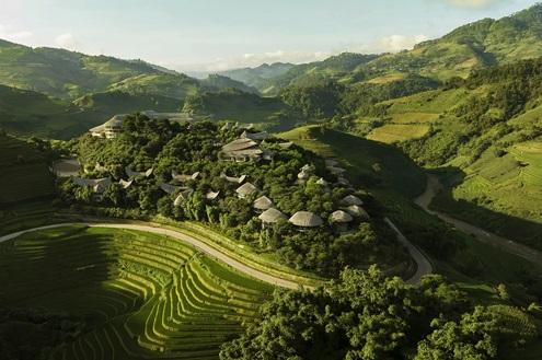 Garrya Mu Cang Chai
