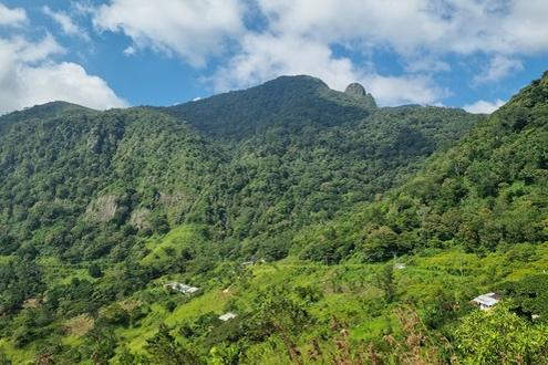 Trekking The Knuckles from Eagles Crest