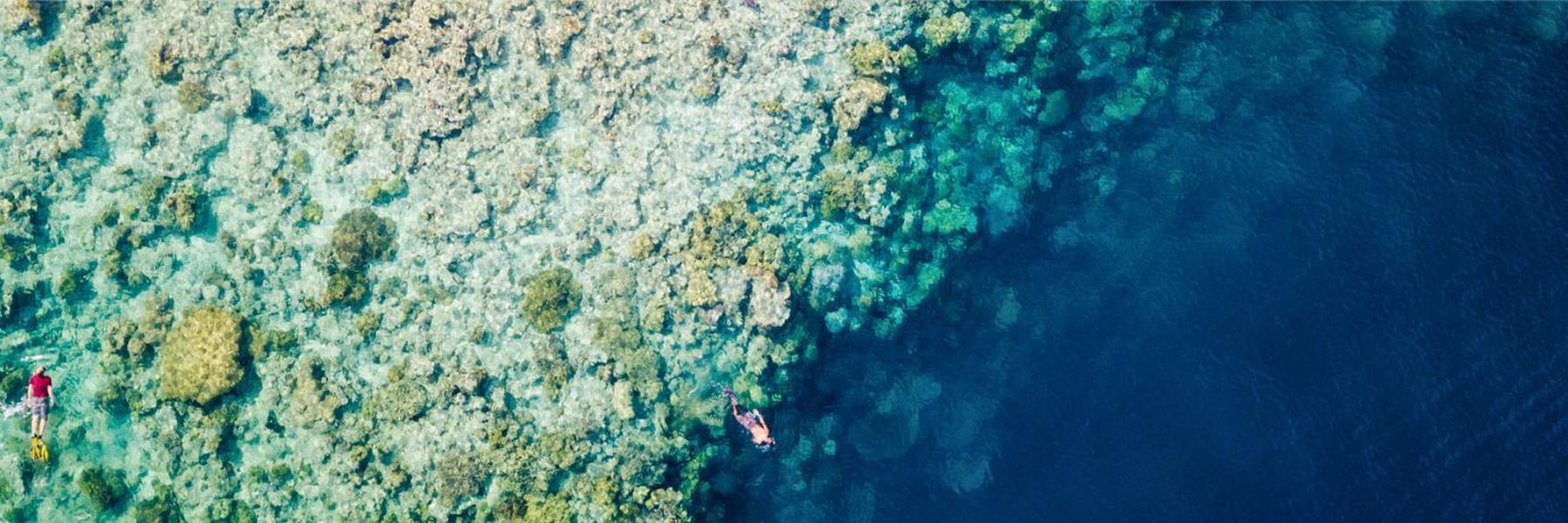 2025: Dive Headfirst into Adventure