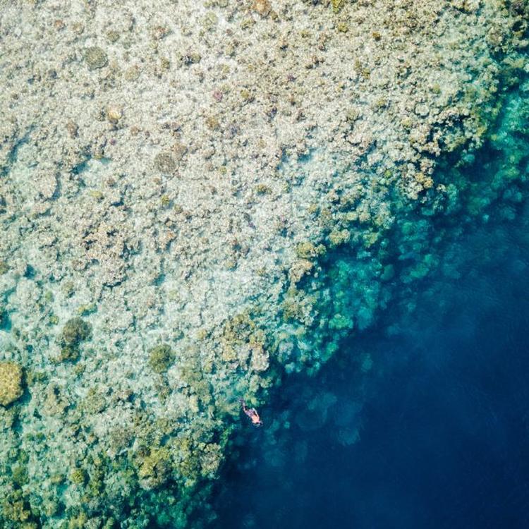 2025: Dive Headfirst into Adventure