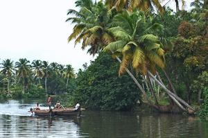 Feed your senses in Kerala