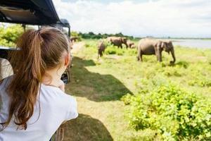 Luxury Family Adventure