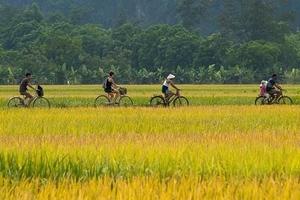 A Fun Family Adventure in Vietnam
