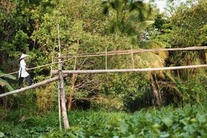 Vietnam: the Highlights & Far Beyond