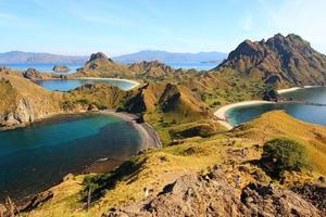 Orangutans & Dragons in Borneo & Komodo