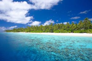 Sri Lanka in Depth with the Maldives