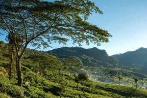 Nature trails and Cultural tales