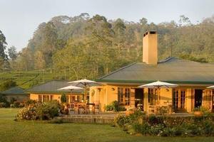 Ceylon Tea Trails, Hatton