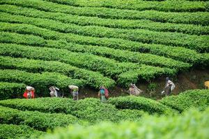 Kerala Encompassed