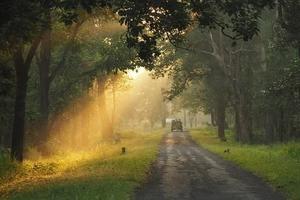 Temples, Jungles & Trains
