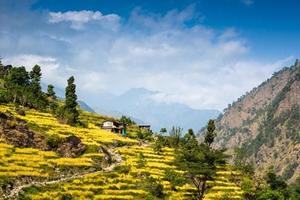 Family Himalayan Adventure