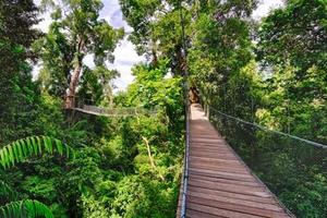 Borneo Encompassed