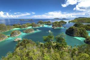 From Java to Raja Ampat: an Indonesian Extravaganza