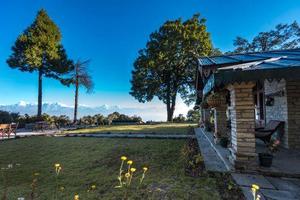 Nine Furlongs, Almora