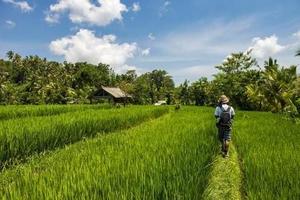 Country walk with a Balinese Brahmin