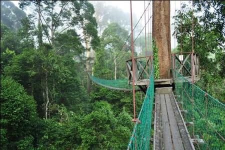 Danum Valley