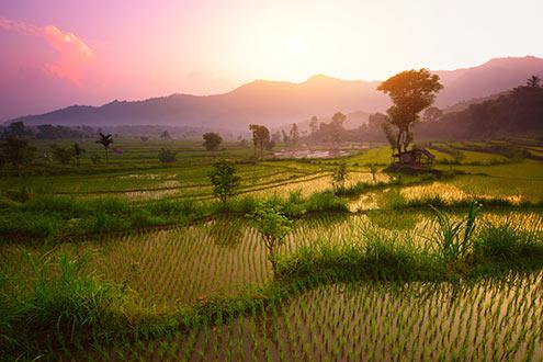 Bali Highlights with Komodo Adventure