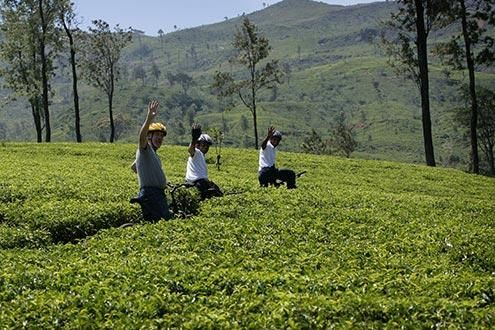 Sri Lanka Spice Trails Cycling Tour
