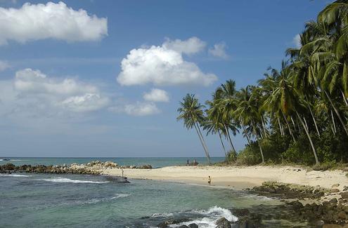 Relax on Sri Lanka's Southern Coast