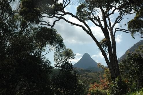 Wild Southern Sri Lanka: bespoke holiday itinerary