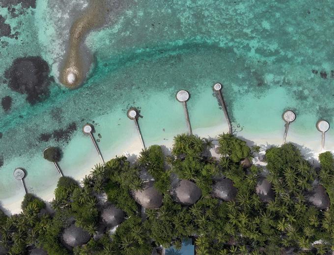 Lush palms or blue horizons?