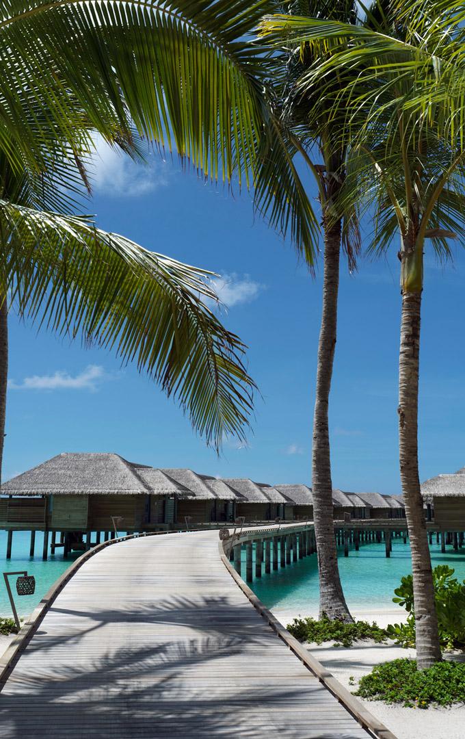 TROPICAL ESCAPES<span class="indend">TO THE MALDIVES</span>