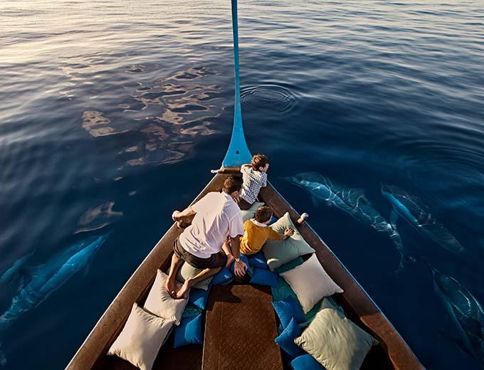 Dolphin viewing at sunset