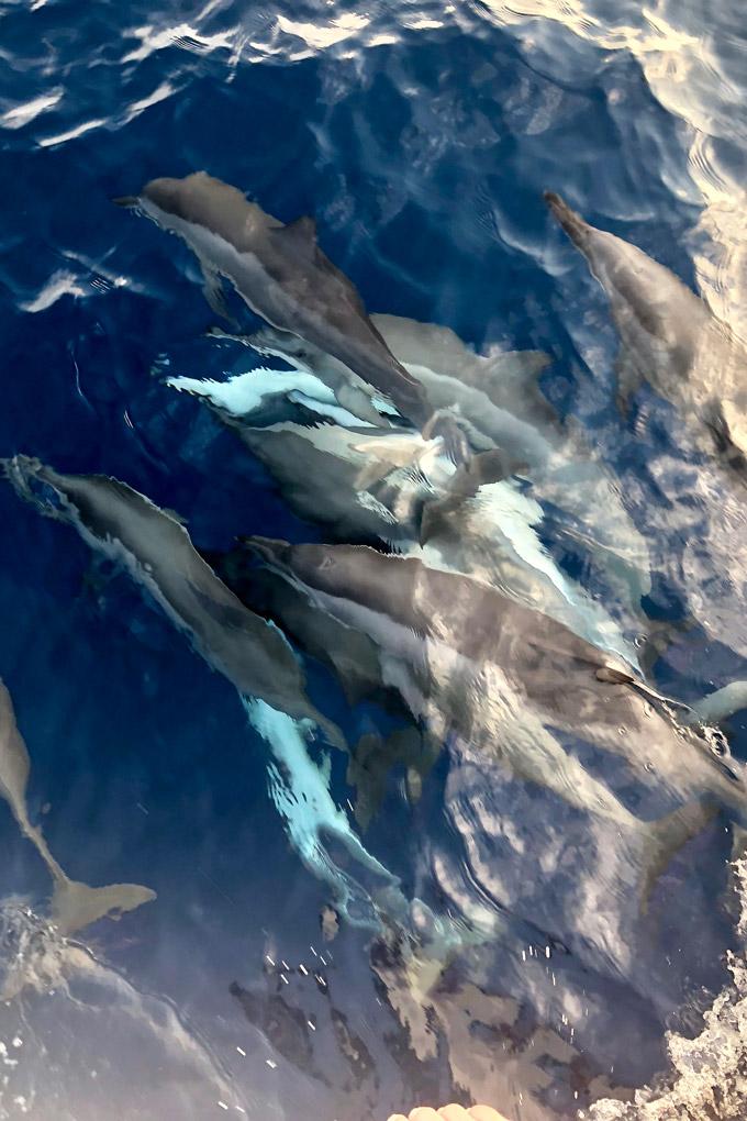 MAGICAL<span class="indend">MALDIVES</span>