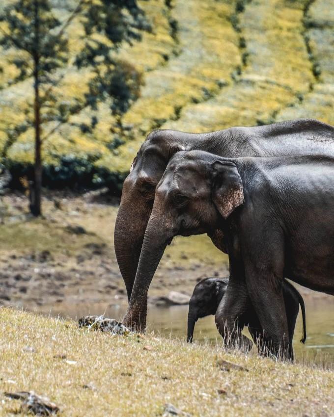 THE BEST TIMES TO GO ON A FAMILY HOLIDAY IN INDIA